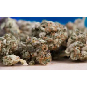 Charged with Growing Too Many Marijuana Plants in Colorado?