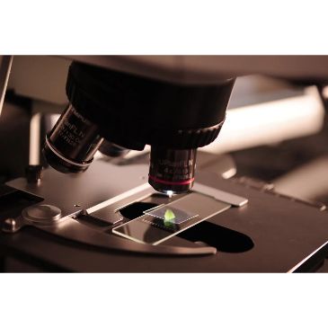 Crime Lab Scandals